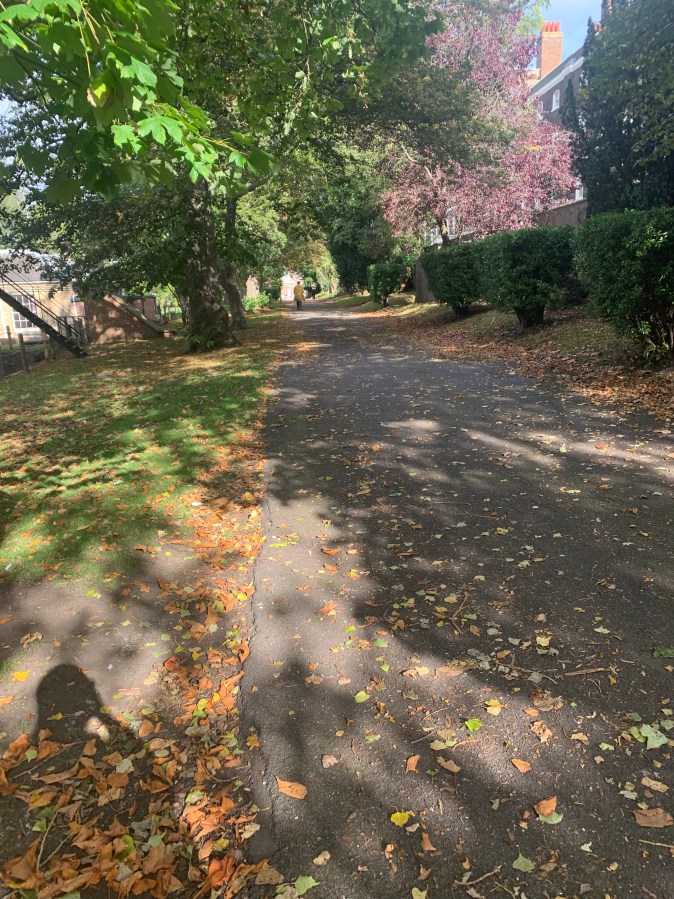 The Art of Being&nbsp;Alone